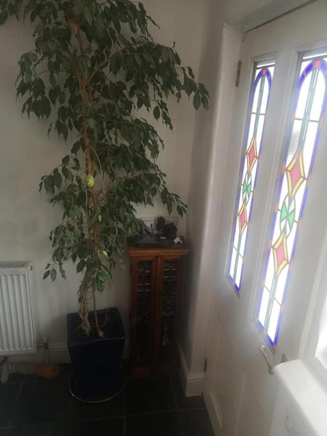 Uplands B And B St Ives 외부 사진